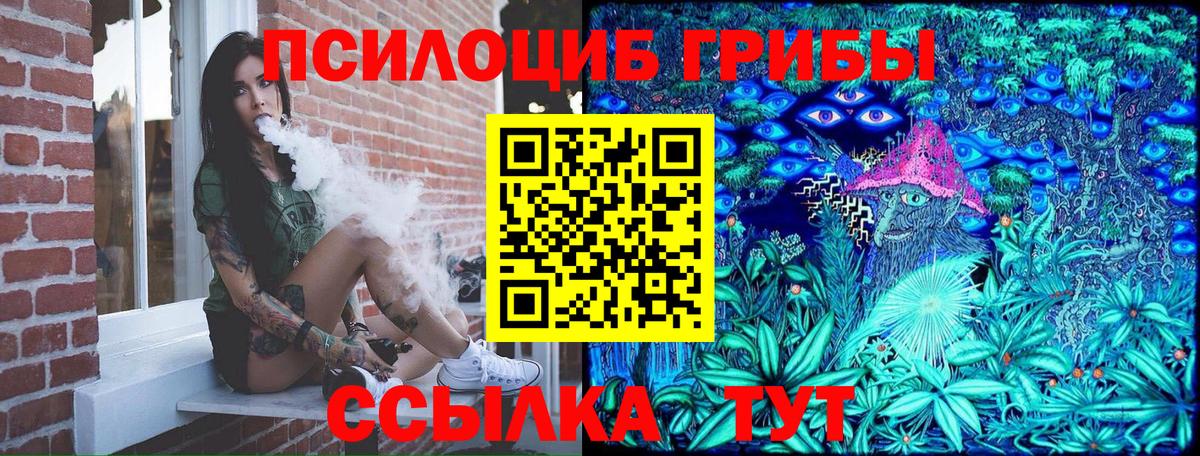 Галлюциногенные грибы Psilocybine cubensis Отрадное