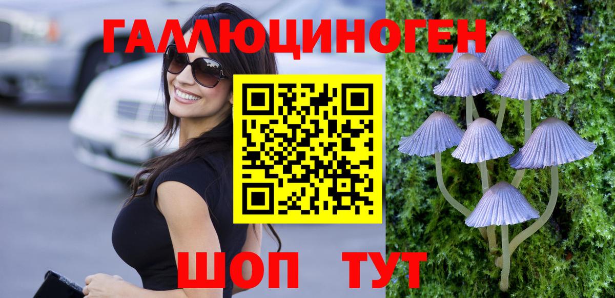 Отрадное  Псилоцибиновые грибы мухоморы  Вход с VPN 
